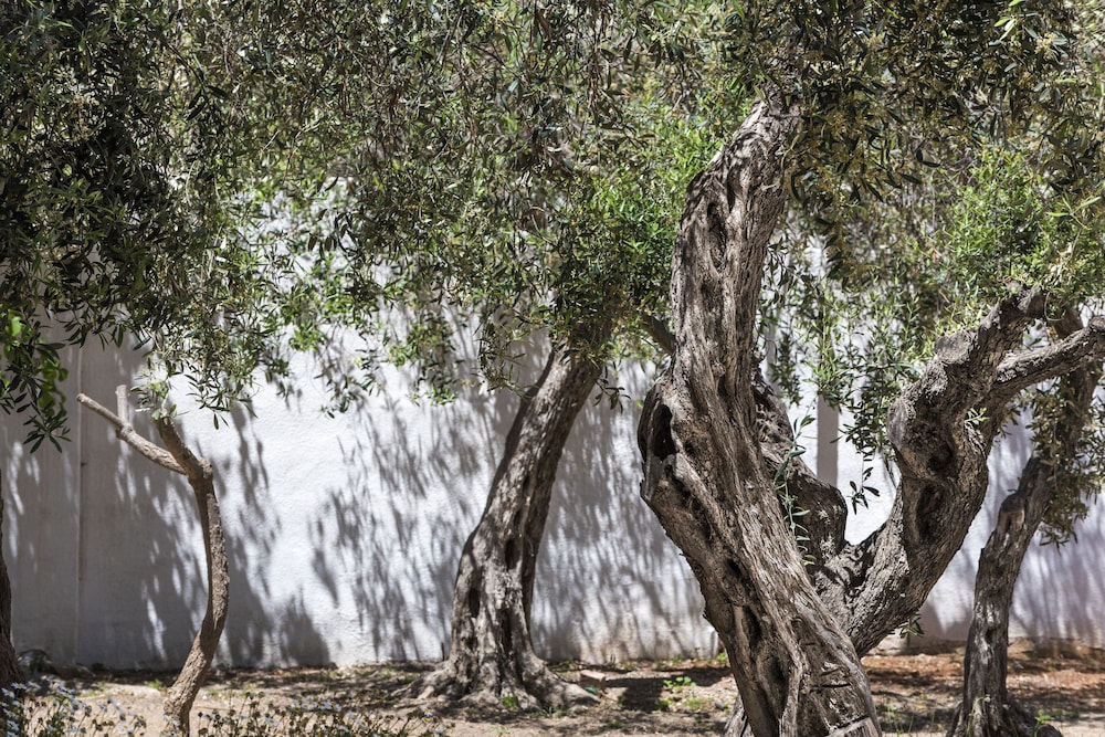 giardini mon plaisir