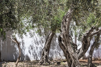 giardini mon plaisir