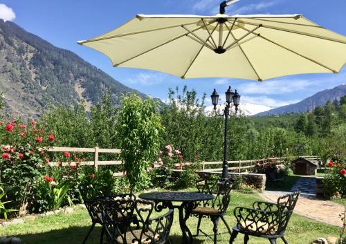 shivadya a boutique hotel