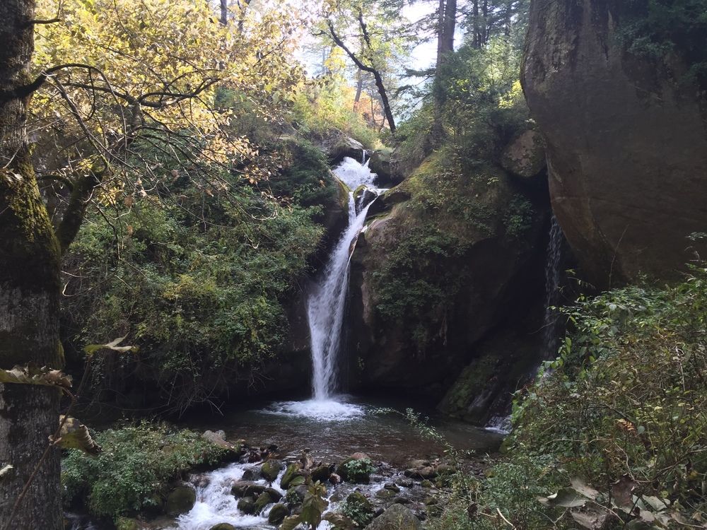 shivadya a boutique hotel