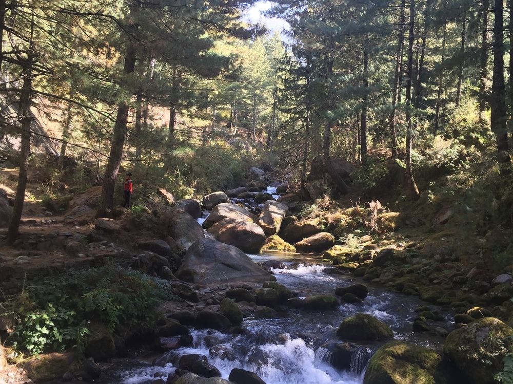 shivadya a boutique hotel