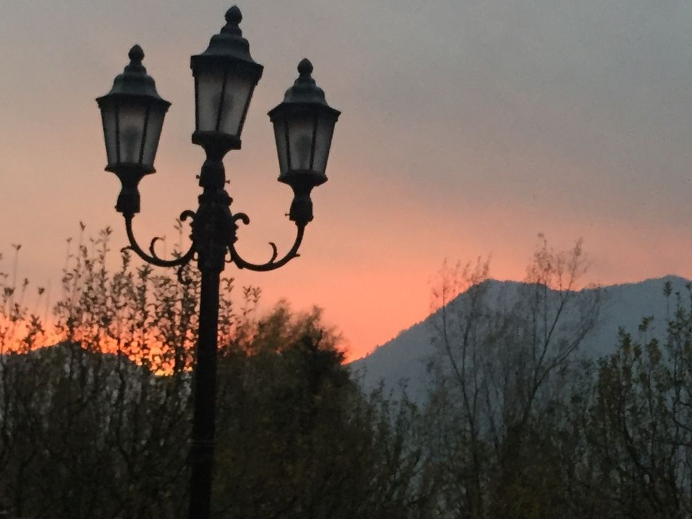 shivadya a boutique hotel