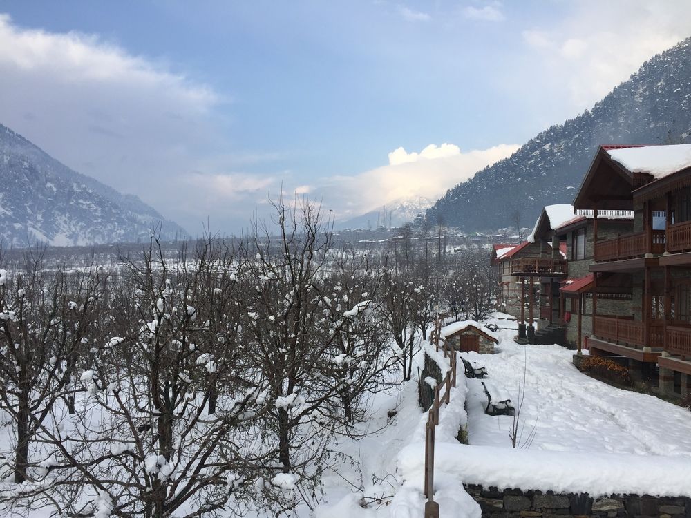 shivadya a boutique hotel