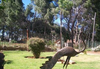Aligeo Guest House,Near Empilisweni District Hospital,4 star