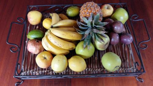 primavera guest house