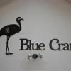 blue crane guest house bloemfontein