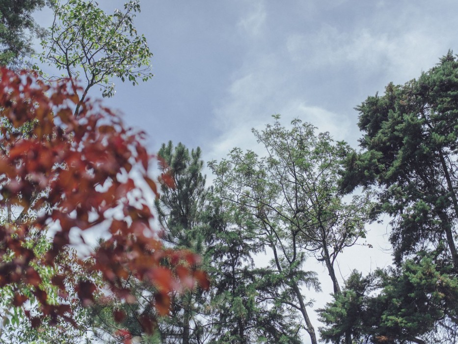 villa republic bandarawela