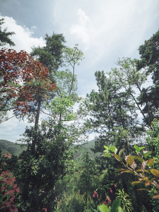 villa republic bandarawela