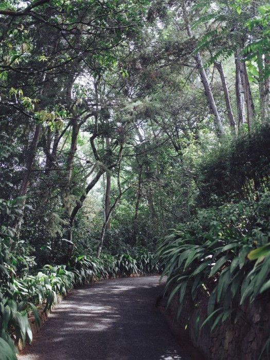 villa republic bandarawela