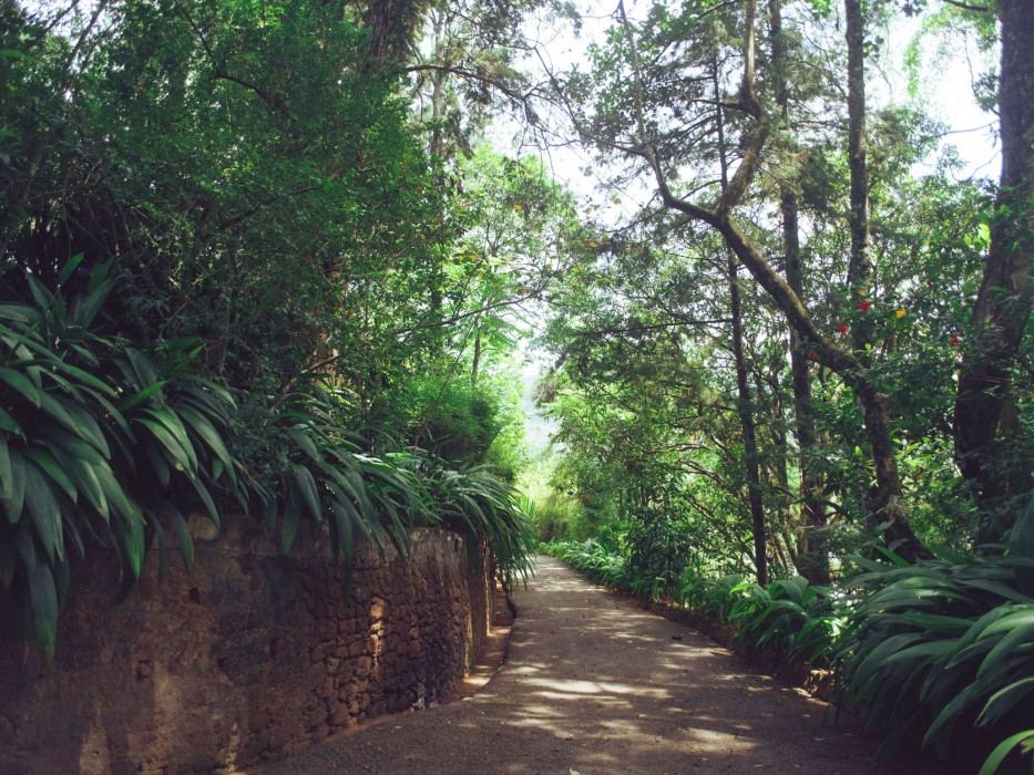 villa republic bandarawela