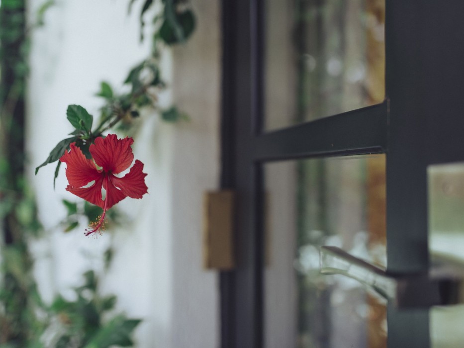 villa republic bandarawela