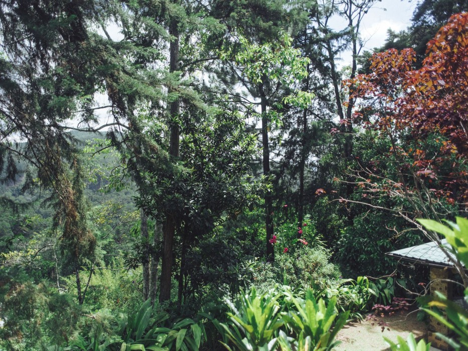 villa republic bandarawela