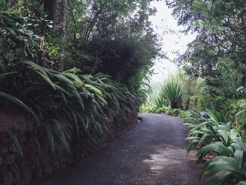 villa republic bandarawela
