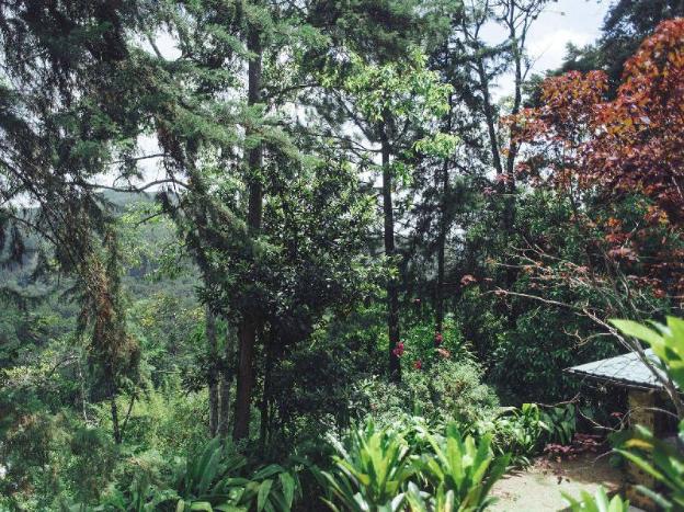 villa republic bandarawela