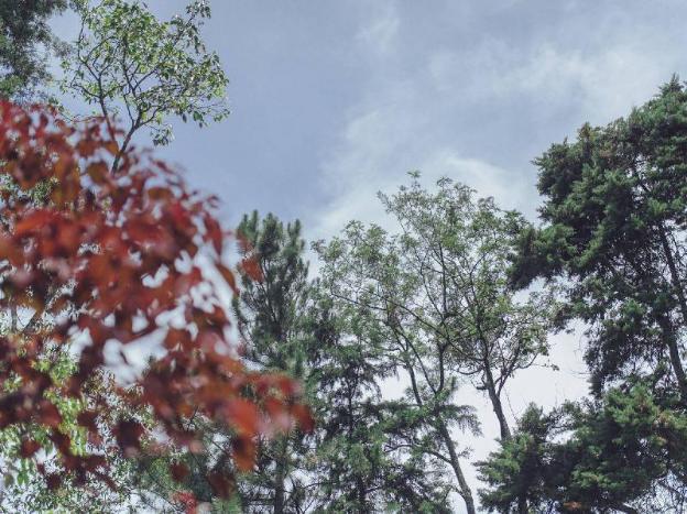 villa republic bandarawela