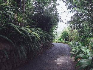 villa republic bandarawela