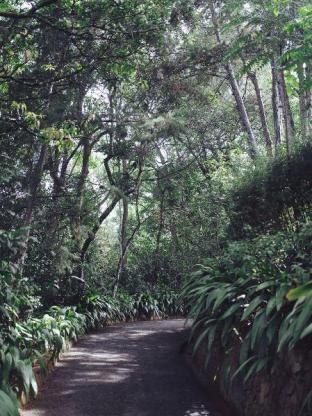 villa republic bandarawela