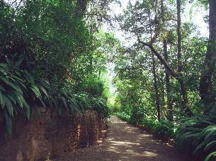 villa republic bandarawela