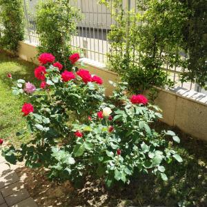 bandb villa milano expo