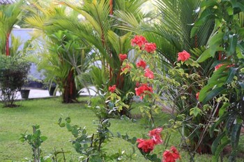coral palm villa and apartments