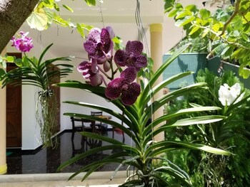 coral palm villa and apartments