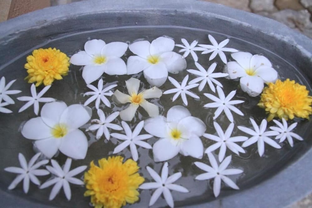 coral palm villa and apartments