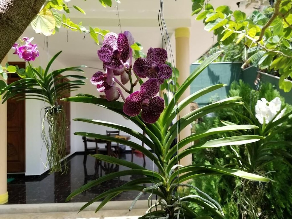 coral palm villa and apartments