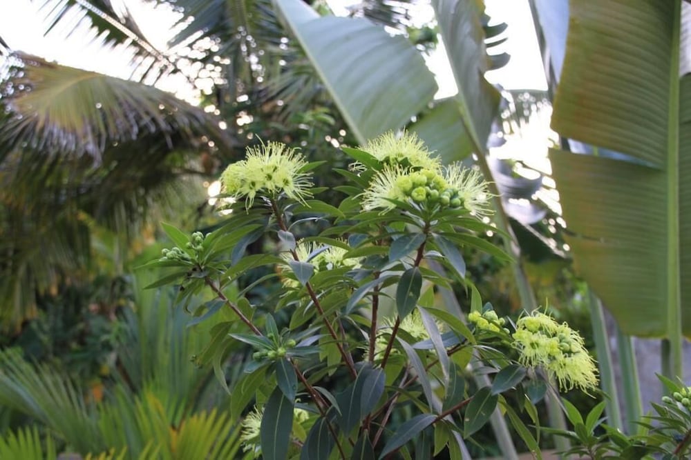 coral palm villa and apartments