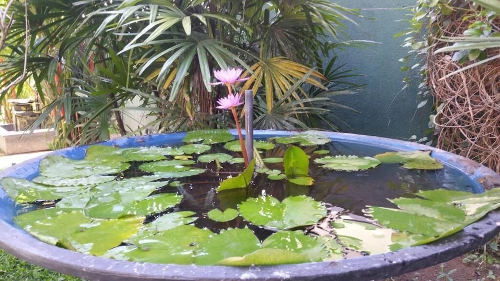 coral palm villa and apartments