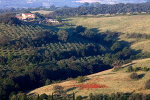 casale sterpeti