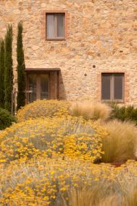 casale sterpeti