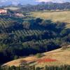 casale sterpeti