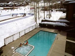mountain chalet snowmass