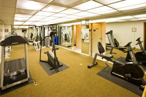 mountain chalet snowmass