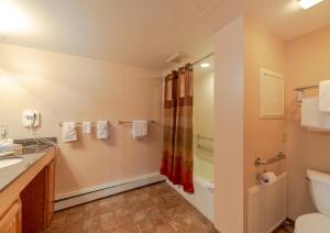 mountain chalet snowmass