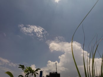 kings land hotel