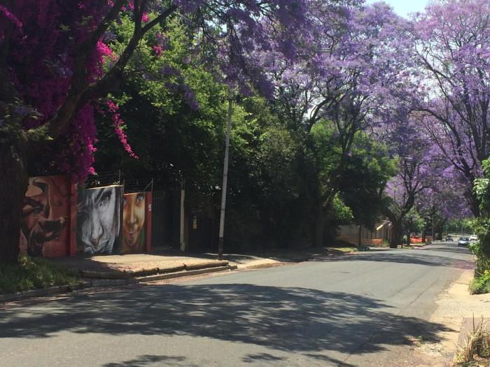 johannesburg