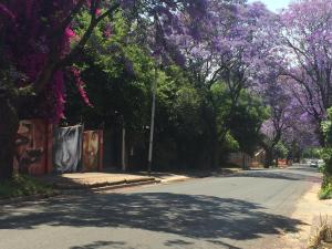 johannesburg