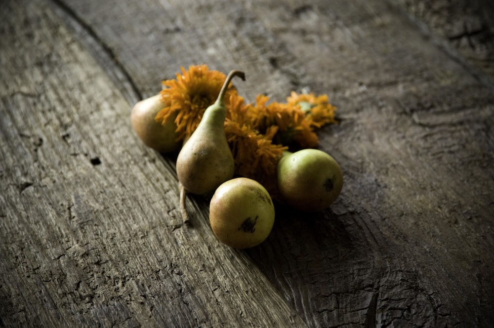 oasi di galbusera bianca