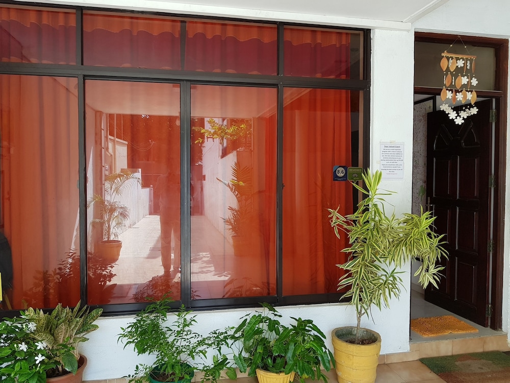 thambili island at stubbs hostel