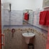 thambili island at stubbs hostel
