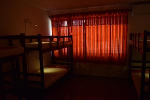 thambili island at stubbs hostel