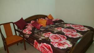 thambili island at stubbs hostel