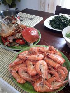 panorama residencies