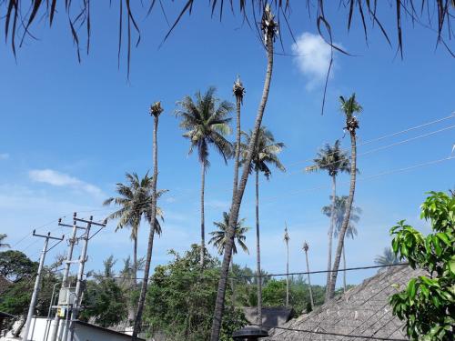 fantastic bnb gili air