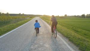 bandb la casa delle rondini