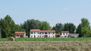 roncoferraro