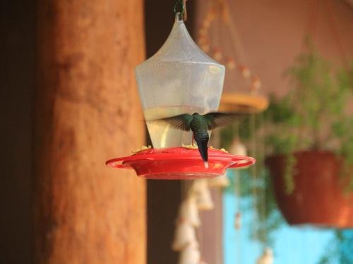 la bicok ecolodge