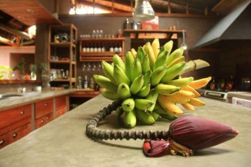 la bicok ecolodge