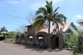 galapagos penguin hostel